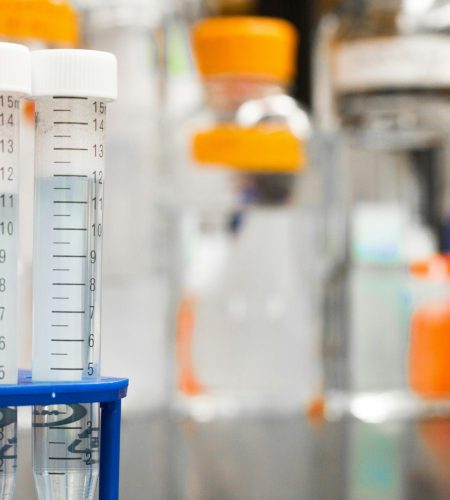 About Two clear test tubes in a laboratory, essential for scientific research.